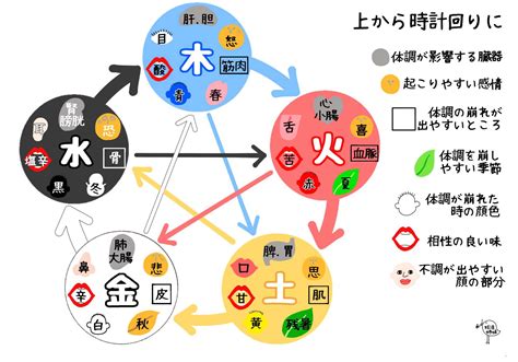 五行論 表|陰陽五行説｜東洋医学の基本思想を3ステップで説